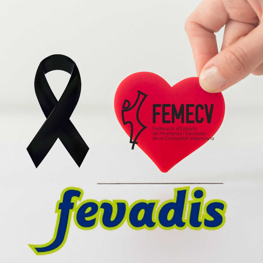 femecv fevadis
