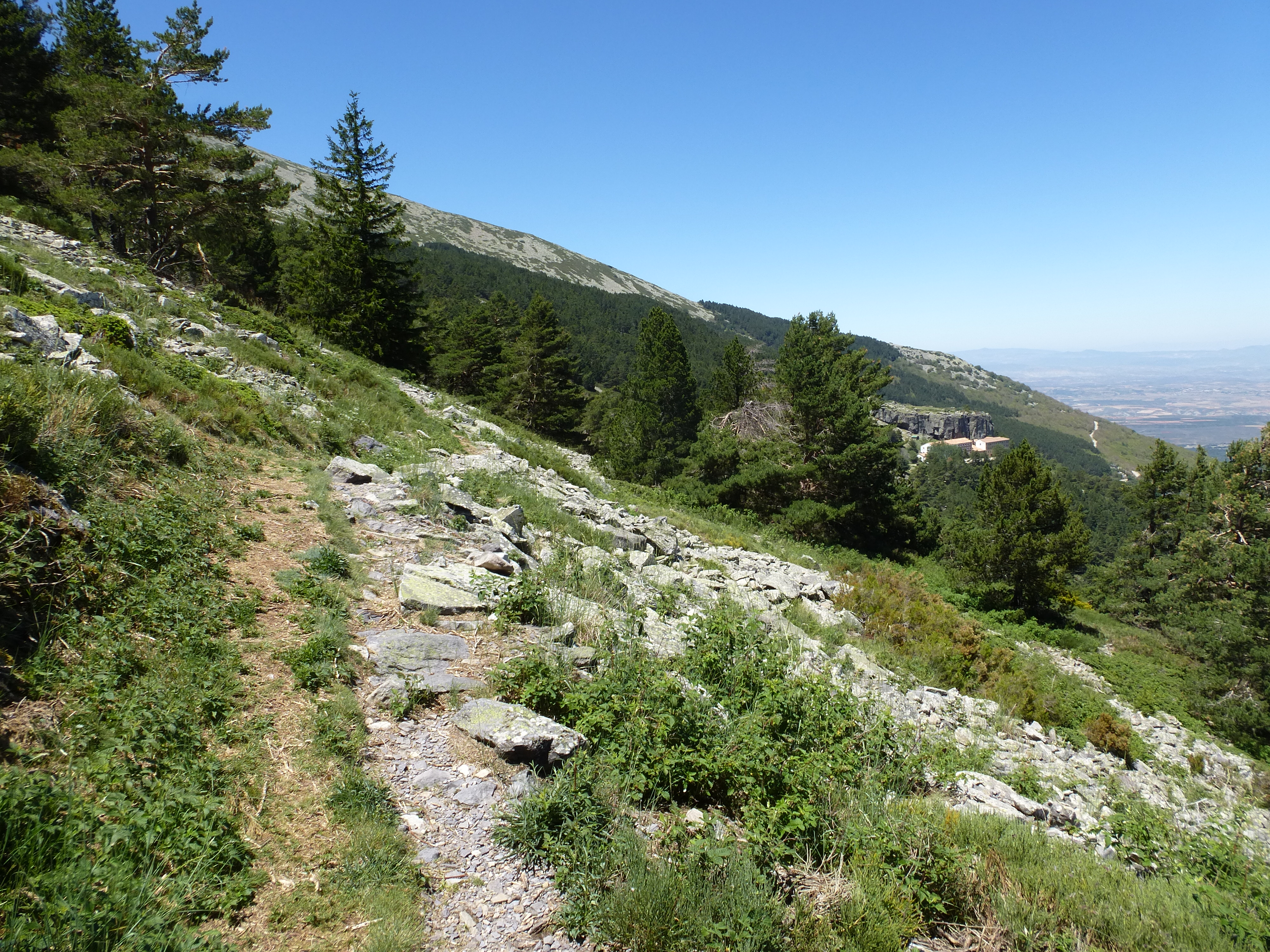 moncayo agramonte